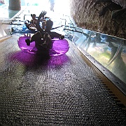 Picture 023